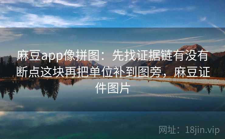 麻豆app像拼图：先找证据链有没有断点这块再把单位补到图旁，麻豆证件图片